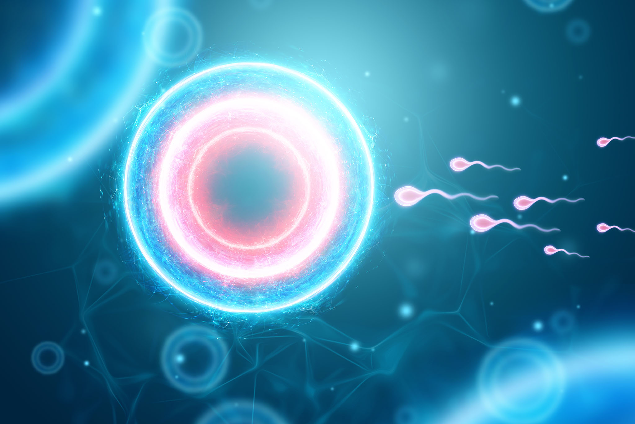 OVIA - Tratamientos y servicios